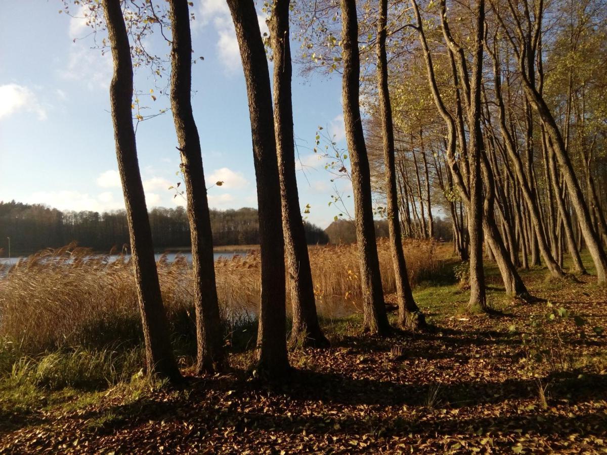 Domki Wczasowe Mazury - Ferienhaus Masuren - Do 12 Osob - Idealny Dla Grup Dluzek المظهر الخارجي الصورة